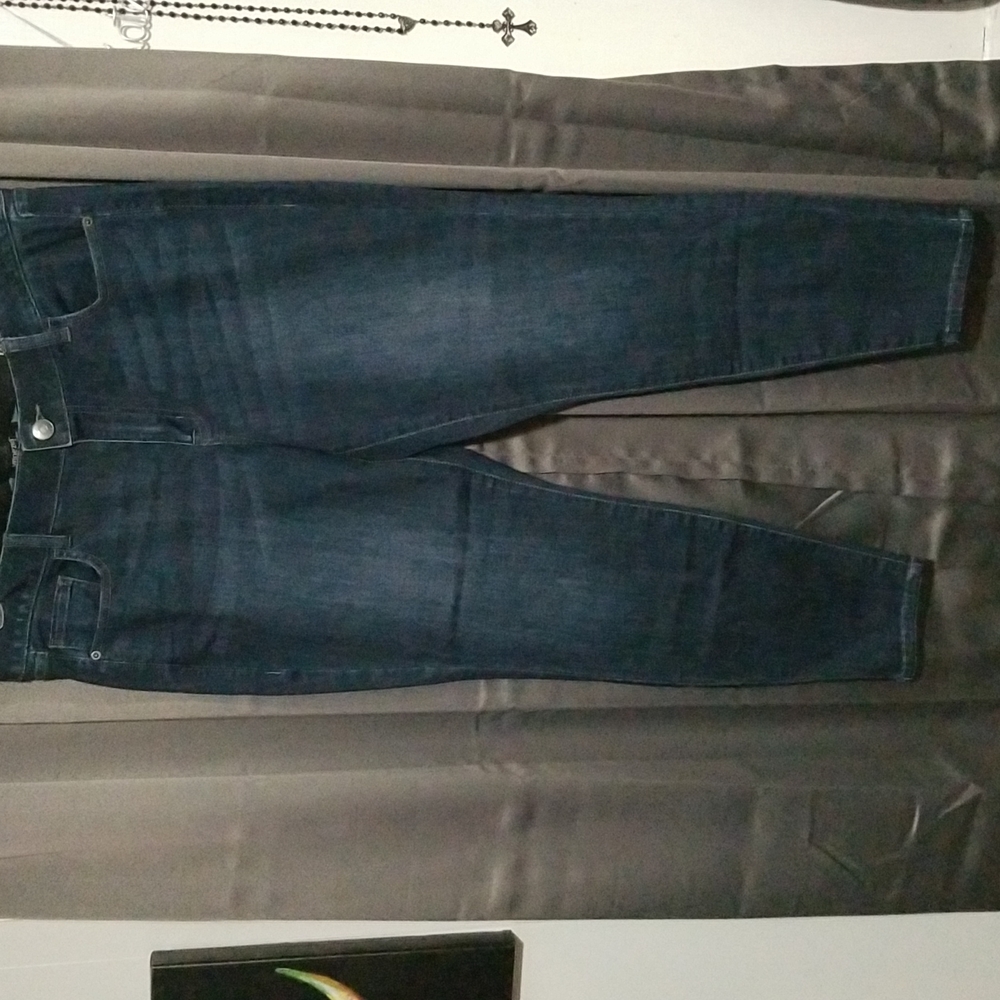 Lane Bryant skinny jeans